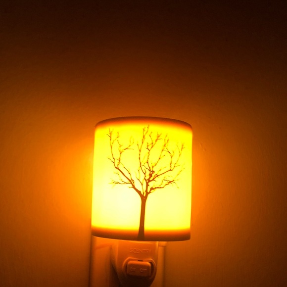 Meet your Posher, Hadi - Picture 1 of 1